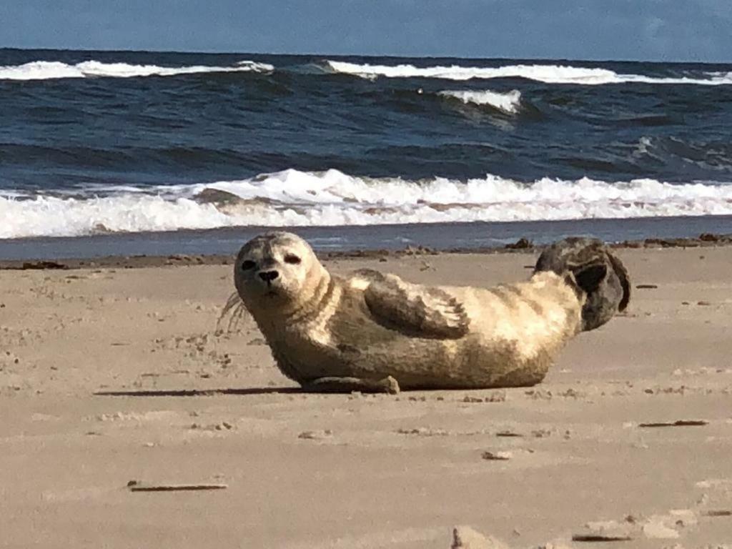 Meerzeit Norderney Exteriér fotografie